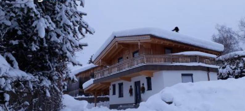 Apartchalet Sisi- Including Saalfelden Leogang Card图片