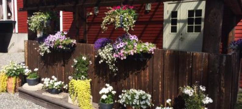 Hotell Hammarstrand图片