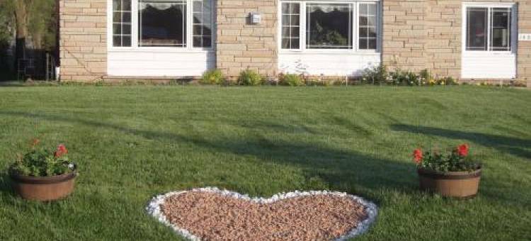 基奇纳汽车旅馆(Kitchener Motel)图片