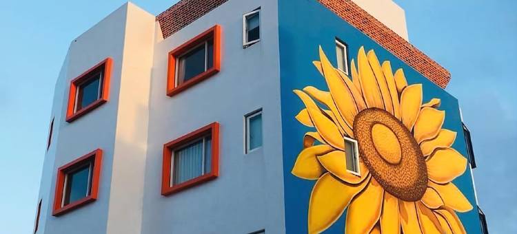 向日葵精致民宿图片