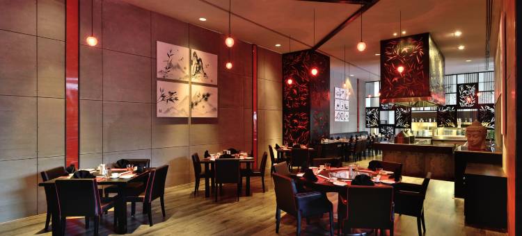 海得拉巴班加拉山丽笙世嘉酒店(Radisson Blu Plaza Hotel Hyderabad Banjara Hills)图片