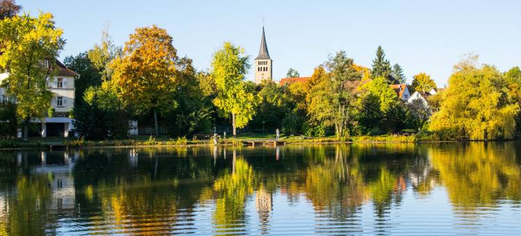 辛德芬根智选假日酒店(Holiday Inn Express Sindelfingen)图片