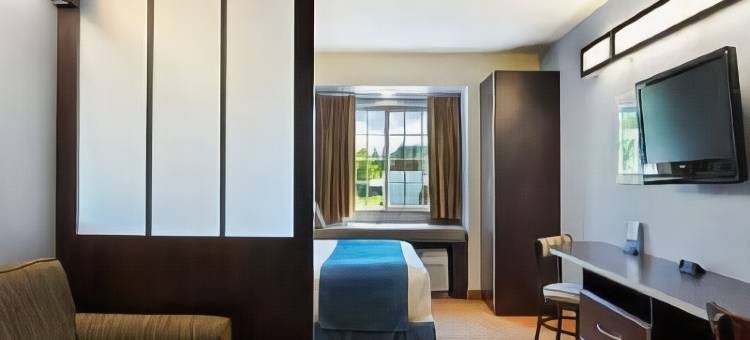 日内瓦麦客达套房酒店(Microtel Inn & Suites by Wyndham Geneva)图片