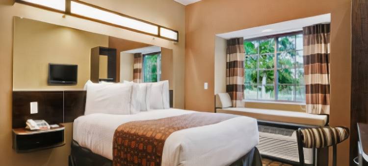 布达-奥斯汀南麦客达温德姆套房酒店(Microtel Inn & Suites by Wyndham Buda Austin South)图片