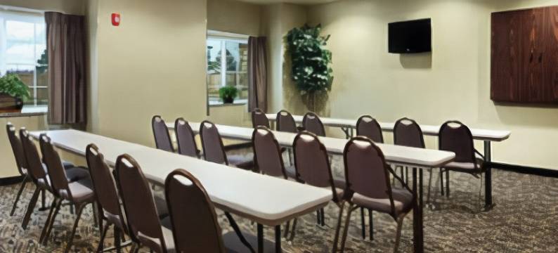 瑟西温德姆麦客达套房酒店(Microtel Inn & Suites by Wyndham Searcy)图片