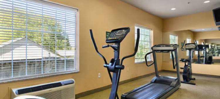 圣安东尼奥-阿拉莫多姆地区速8酒店(Super 8 by Wyndham San Antonio/Alamodome Area)图片