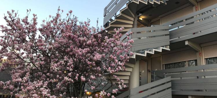 康铂尼蓬图瓦兹酒店(Hotel Campanile Nature - Cergy Pontoise)图片