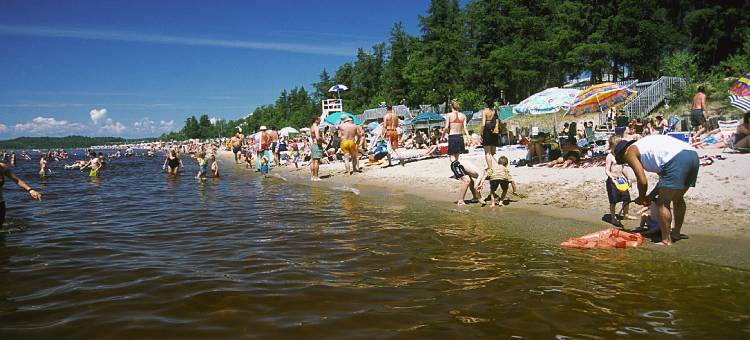 舒适酒店(Comfort Inn)图片