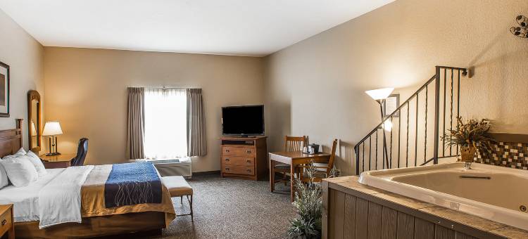 舒适套房酒店(Comfort Inn & Suites)图片