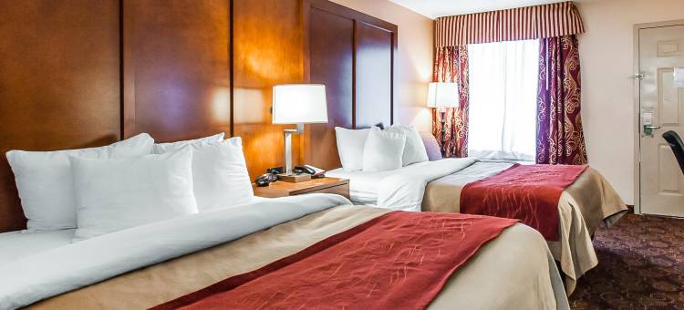 纳什维尔市中心舒适酒店-音乐城中心(Comfort Inn Downtown Nashville - Music City Center)图片