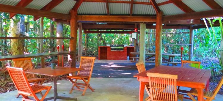 戴恩特里雨林度假汽车旅馆(Daintree Rainforest Retreat Motel)图片