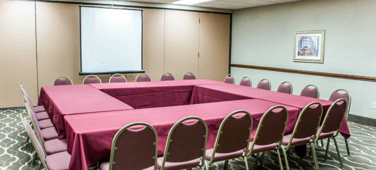 品质酒店套房格雷厄姆 - 伯灵顿南(Quality Suites Graham - Burlington South)图片