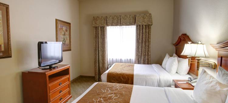舒适套房酒店-近德州大学(Comfort Suites Near Texas State University)图片