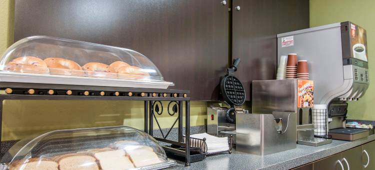 洛杉矶西比佛利山庄贝斯特韦斯SureStay酒店(SureStay Hotel by Best Western Beverly Hills West La)图片