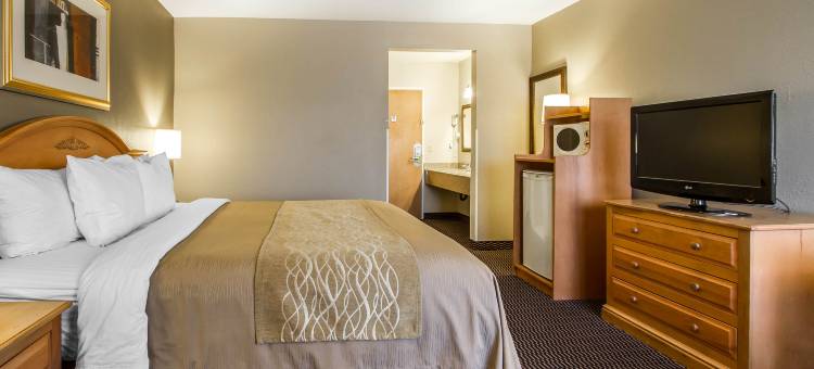 舒适酒店(Comfort Inn)图片