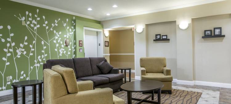 舒眠套房酒店(Sleep Inn & Suites Stockbridge Atlanta South)图片
