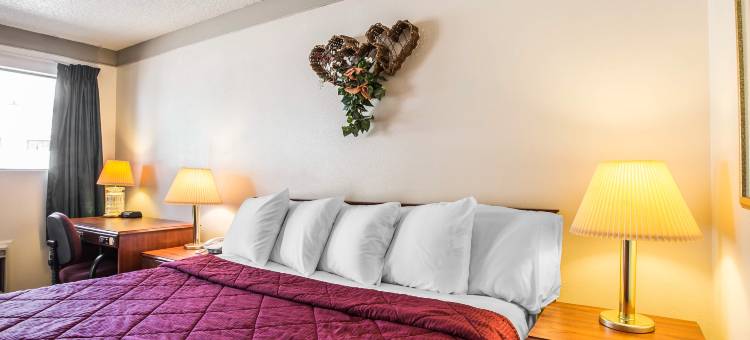 超值山林小屋旅馆(Value Lodge Inn)图片
