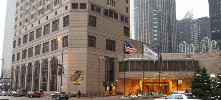 费尔蒙特芝加哥酒店 - 千禧公园(Fairmont Chicago - Millennium Park)图片