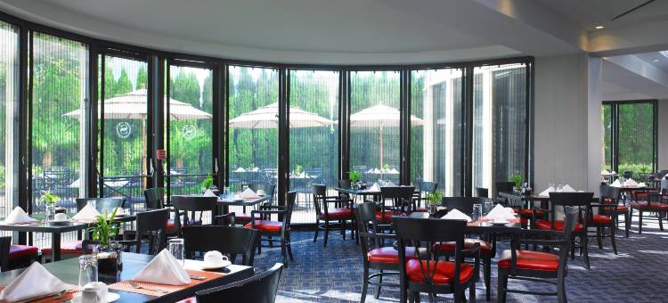 洛杉矶喜来登酒店(Sheraton Gateway Los Angeles Hotel)图片