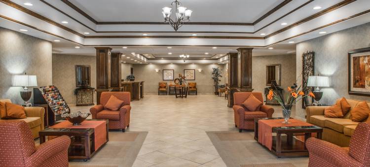 康乃迪克诺格塔克谢尔顿舒适酒店(Comfort Inn Naugatuck-Shelton, CT)图片