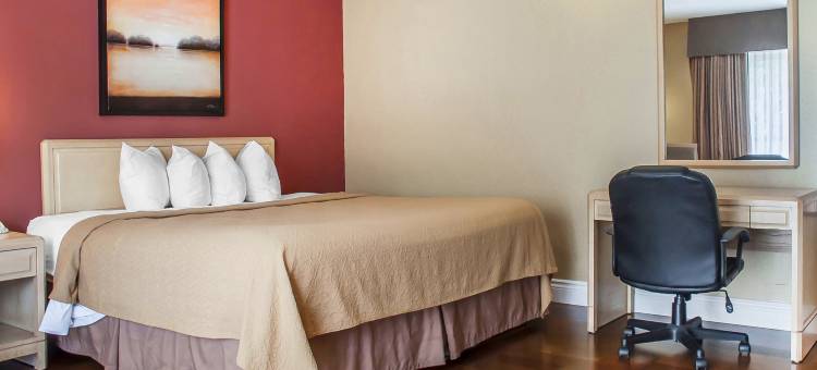 瀑布景观品质酒店(Quality Hotel Fallsview Cascade)图片