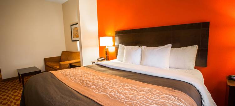 奥古斯塔艾森豪威尔高速公路舒适套房酒店(Comfort Inn & Suites Augusta Fort Eisenhower Area)图片