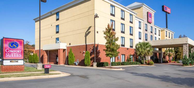 亚特兰大南部麦克多诺舒适套房酒店(Comfort Suites McDonough Atlanta South)图片