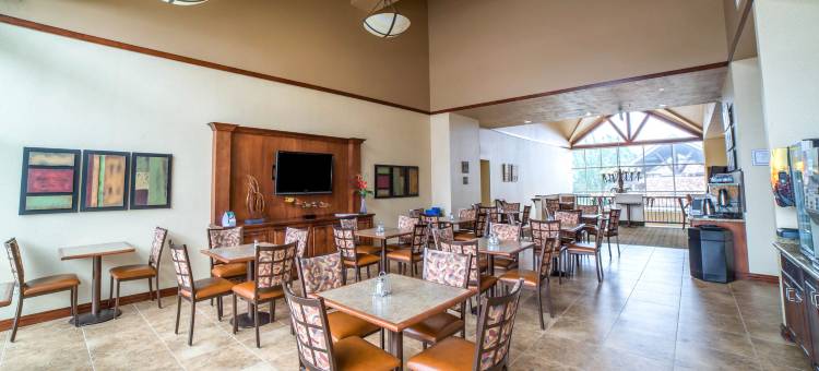 市中心舒适酒店(Comfort Inn Downtown)图片