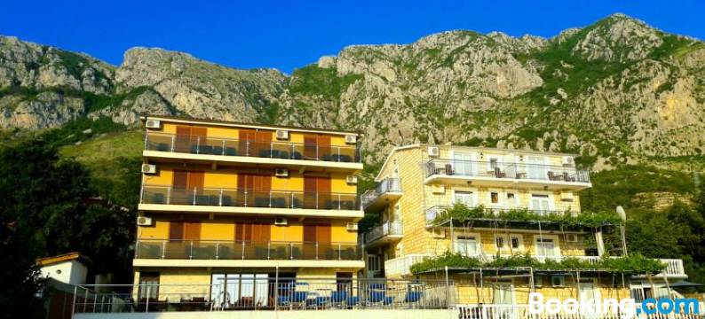 德拉吉斯科公寓式酒店(Apartments Dragišić)图片