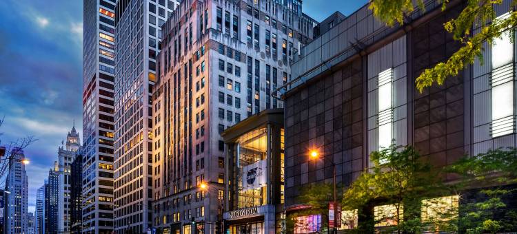 芝加哥密歇根大街格温豪华精选酒店(The Gwen, a Luxury Collection Hotel, Michigan Avenue Chicago)图片