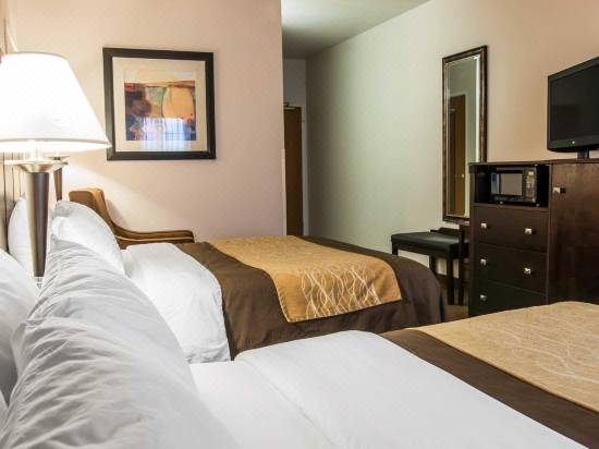 Comfort Inn Suites Fenton Hotel Reviews And Room Rates Trip Com