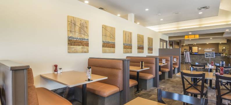 凯艺套房酒店(Quality Inn & Suites)图片