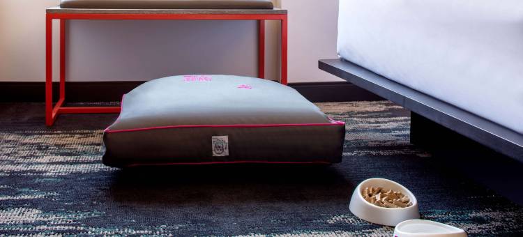 费城市区雅乐轩酒店(Aloft Philadelphia Downtown)图片