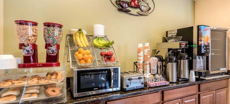 伊克诺旅馆(Econo Lodge Boaz)图片