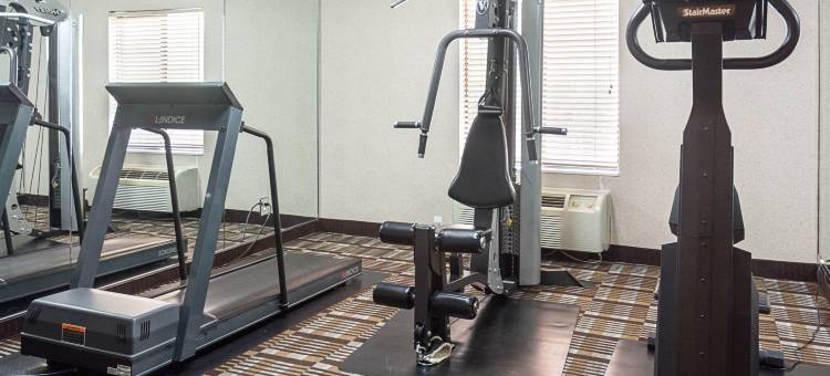 匡蒂科凯艺套房酒店(Quality Inn & Suites Quantico)图片