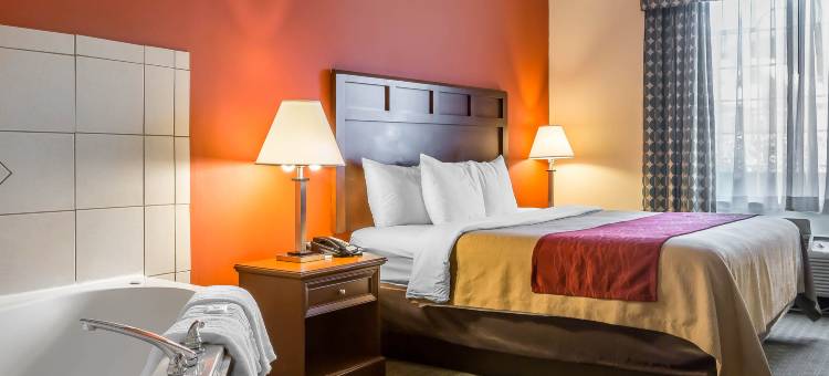 舒适套房酒店(Comfort Inn & Suites)图片