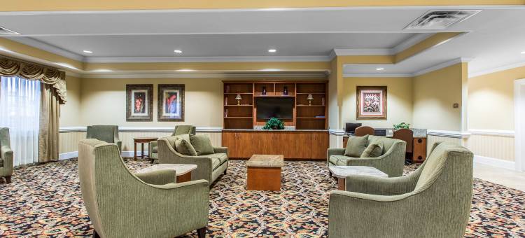 舒适套房酒店(Comfort Inn & Suites)图片