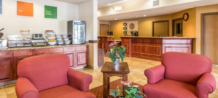 舒适套房酒店(Comfort Inn & Suites)图片