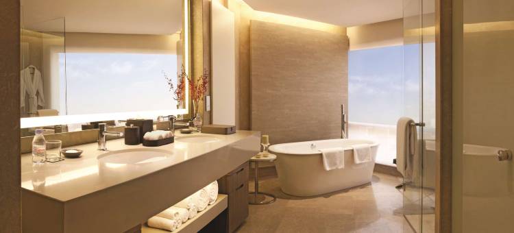 新德里凯悦酒店(Hyatt Regency Delhi)图片