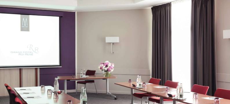 艾克斯普罗旺斯市中心大勒内国王酒店 - 美憬阁(Grand Hôtel Roi René Aix-en-Provence Centre - MGallery)图片