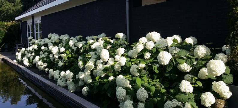 迪博肯艾克住宿加早餐旅馆(B&B de Berkenhoeck)图片