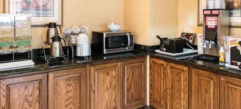 纳可杜契斯舒适全套房酒店(Comfort Suites Nacogdoches)图片