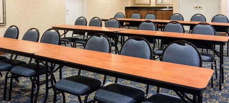 纳可杜契斯舒适全套房酒店(Comfort Suites Nacogdoches)图片