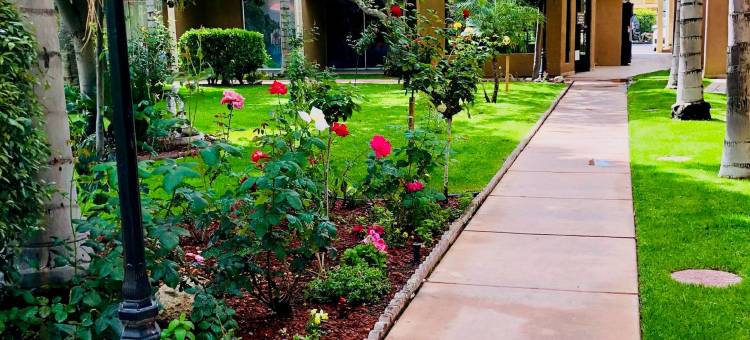 贝克斯菲尔德北克拉丽奥酒店(Hiltop Hotel)图片