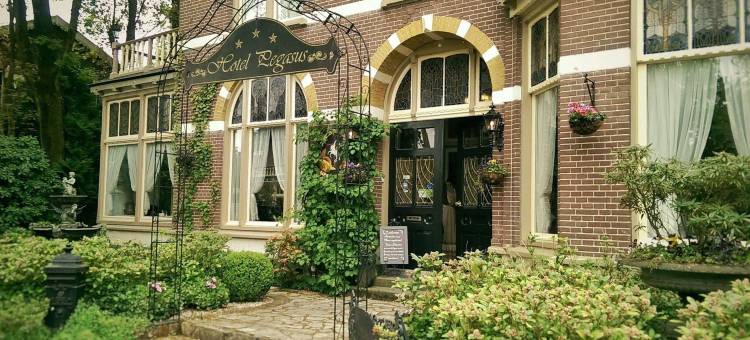 天马大酒店(Hotel Pegasus)图片