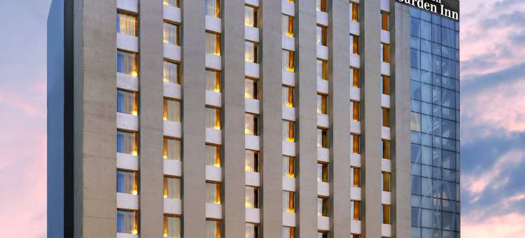 古尔冈巴尼广场希尔顿逸林酒店(DoubleTree by Hilton Gurugram Baani Square)图片