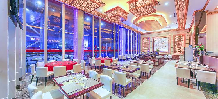 巴淡岛城市酒店(Batam City Hotel)图片
