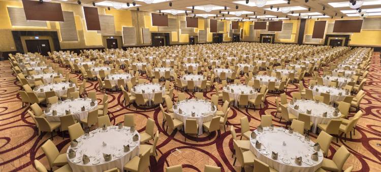 利雅得市中心皇冠假日酒店及会议中心(Crowne Plaza Riyadh Rdc Hotel & Convention)图片