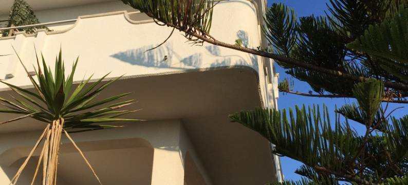 Magia del Salento图片