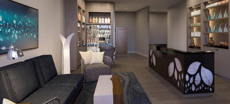 杰克逊威斯汀酒店(The Westin Jackson)图片